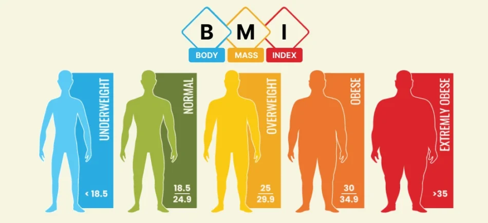 BMI Calculator: Simple, Fast, and Reliable Health Assessment